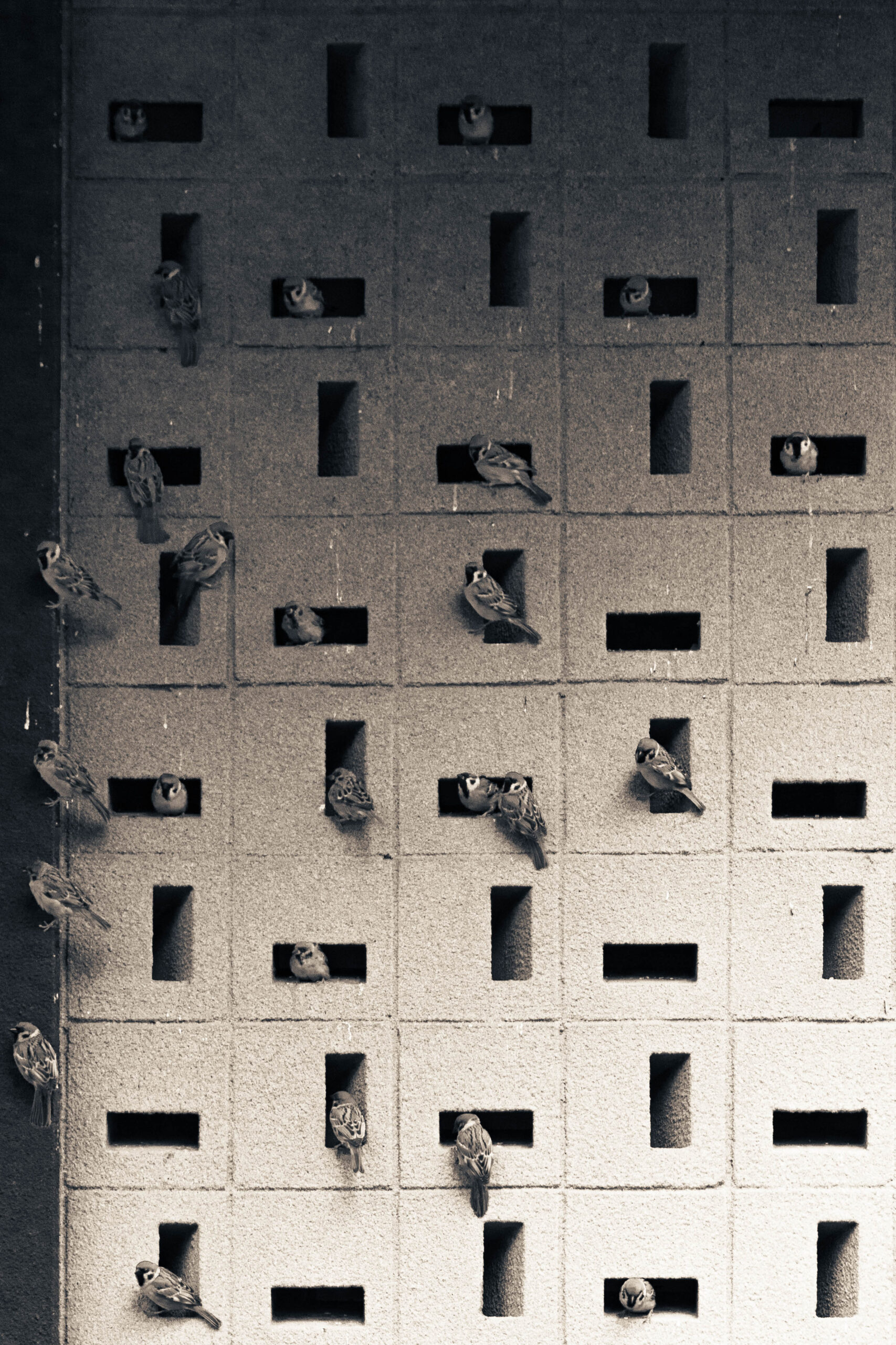 Echoes of Elsewhere (1)