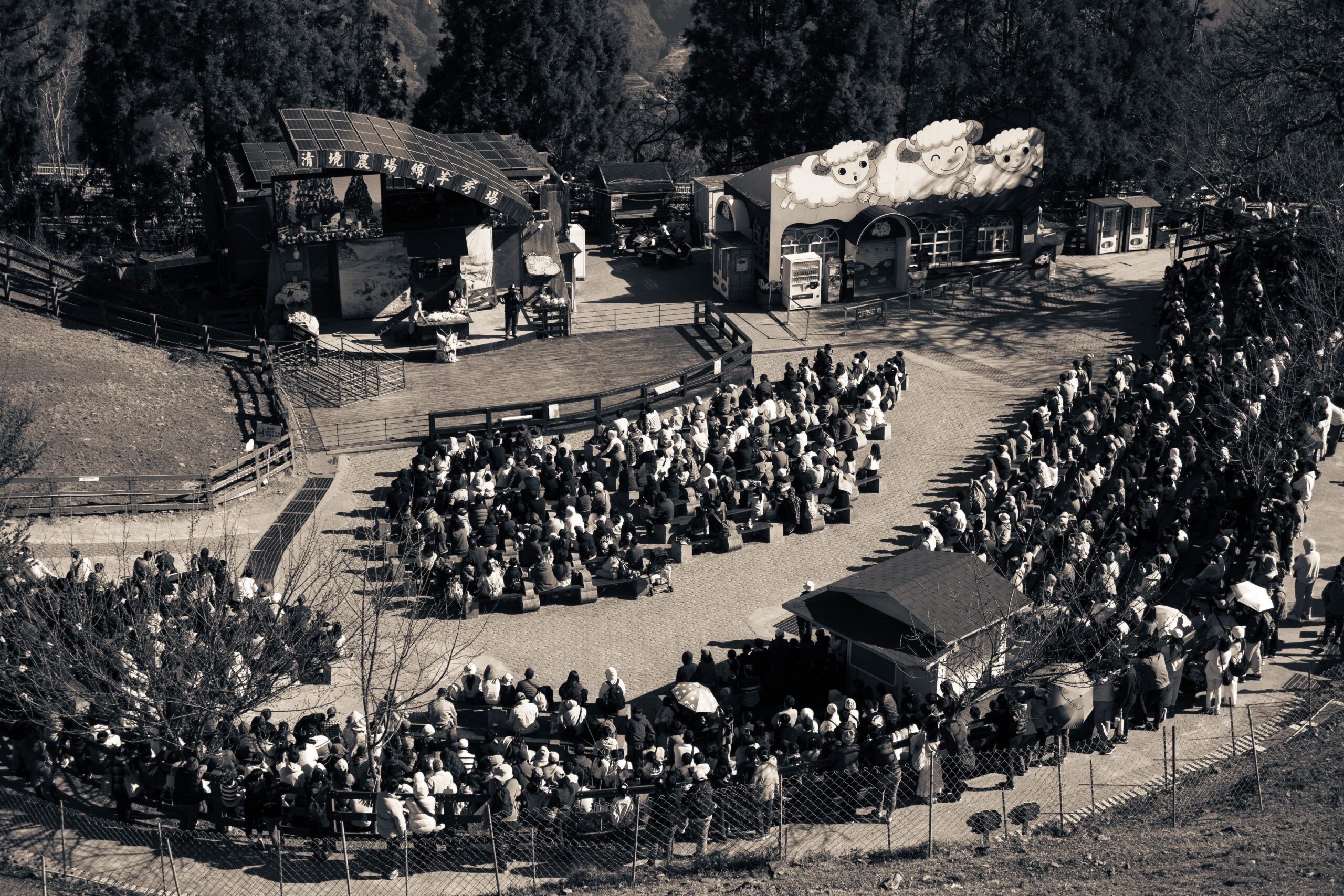 Echoes of Elsewhere (2)