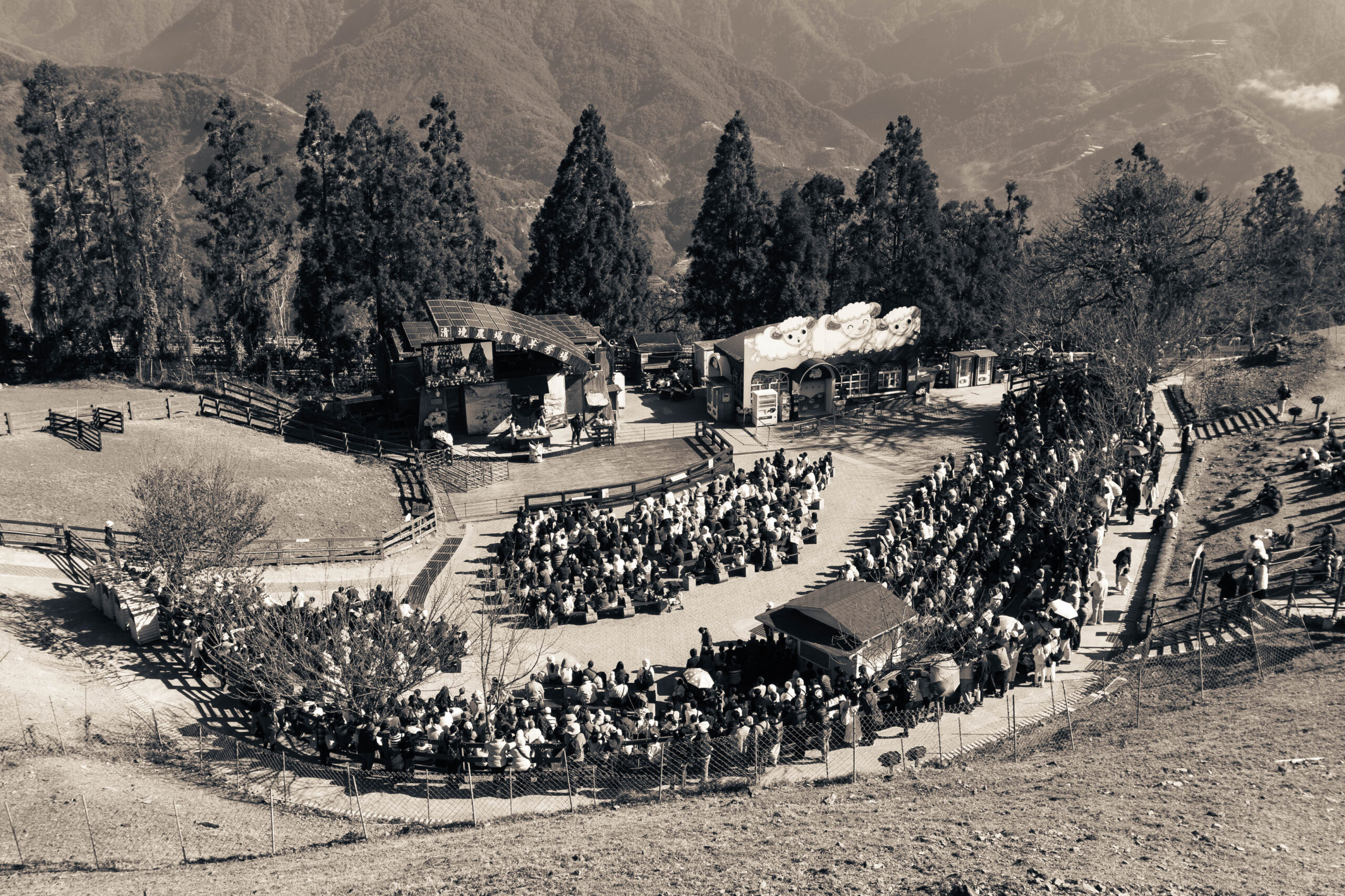 Echoes of Elsewhere (3)